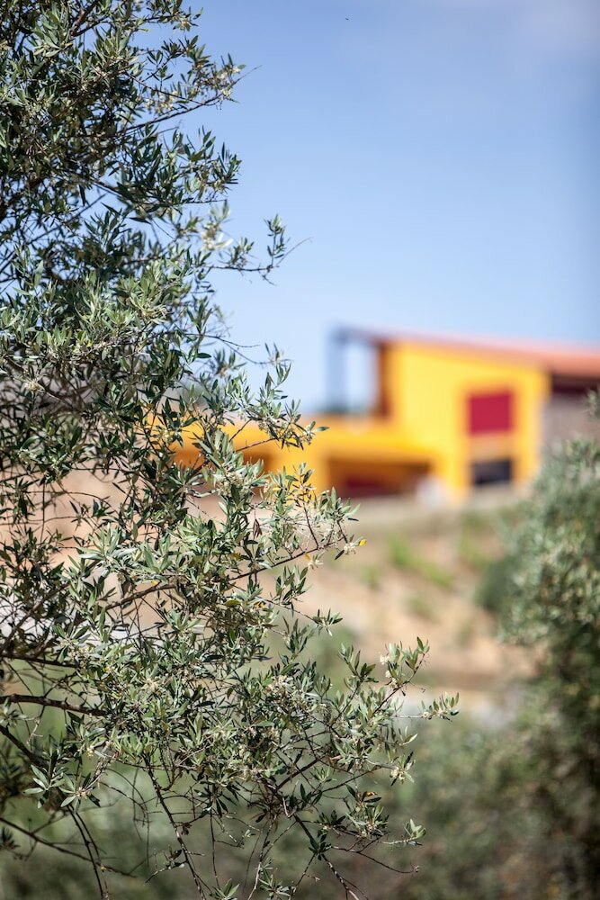 Фото Monte da Esperança