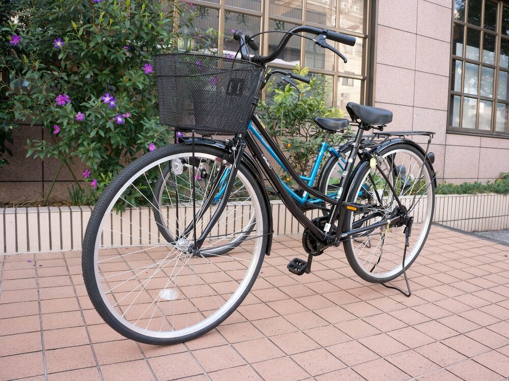 Фото Kochi Palace Hotel