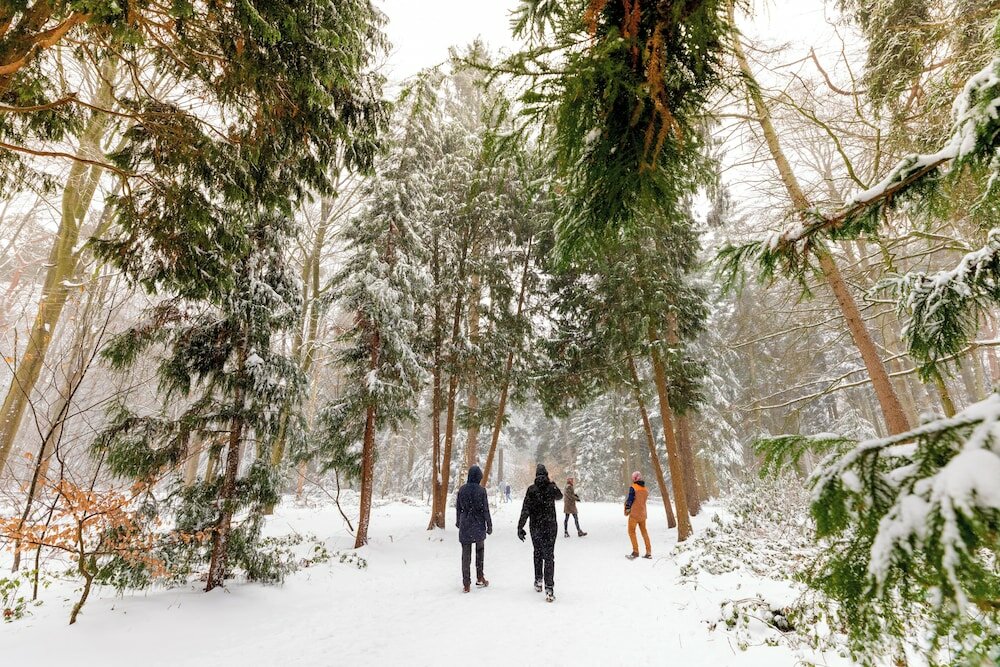 Фото Holiday Inn Eindhoven Centre, an Ihg Hotel