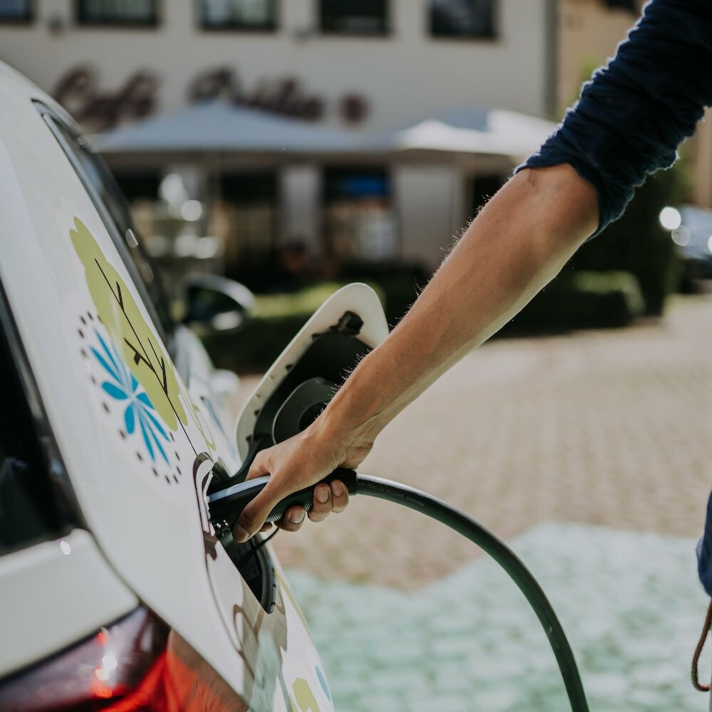 Фото Eco friendly Hotel Dalia