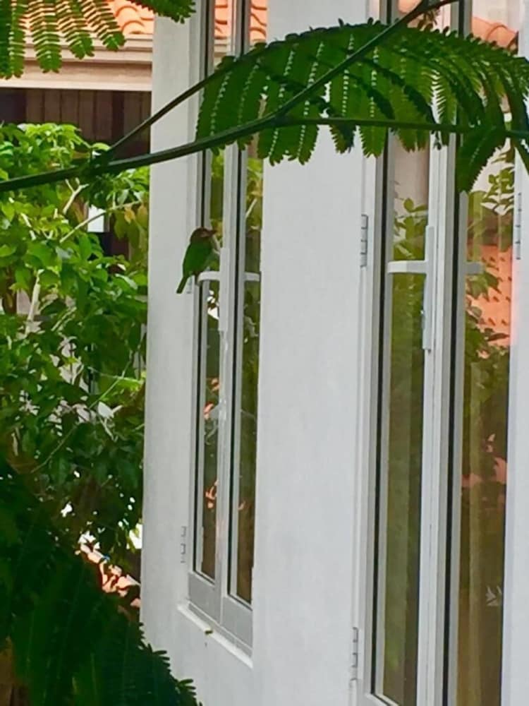 Фото Green Boutique Villa