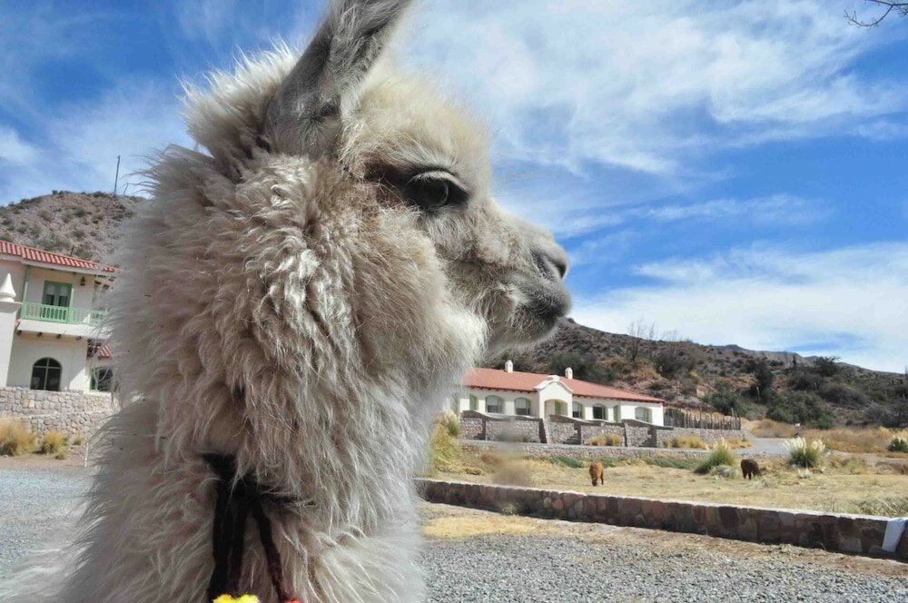 Фото Hotel Huacalera