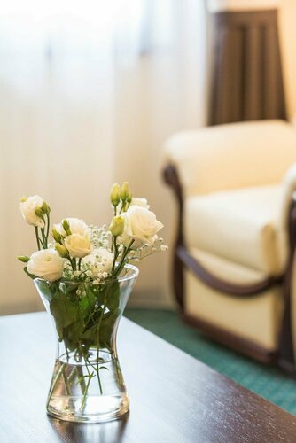 Гостиница Magus Hotel в Марамуреше