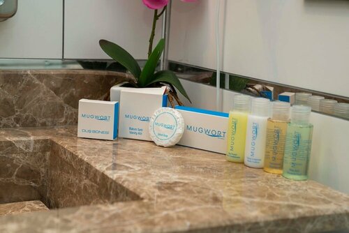 Гостиница Mugwort Hotel & SPA в Эсенъюрте