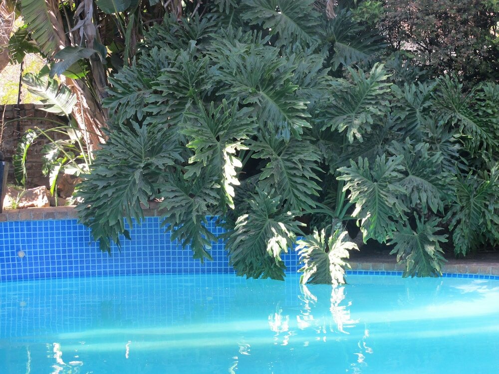 Фото Aero Guest Lodge