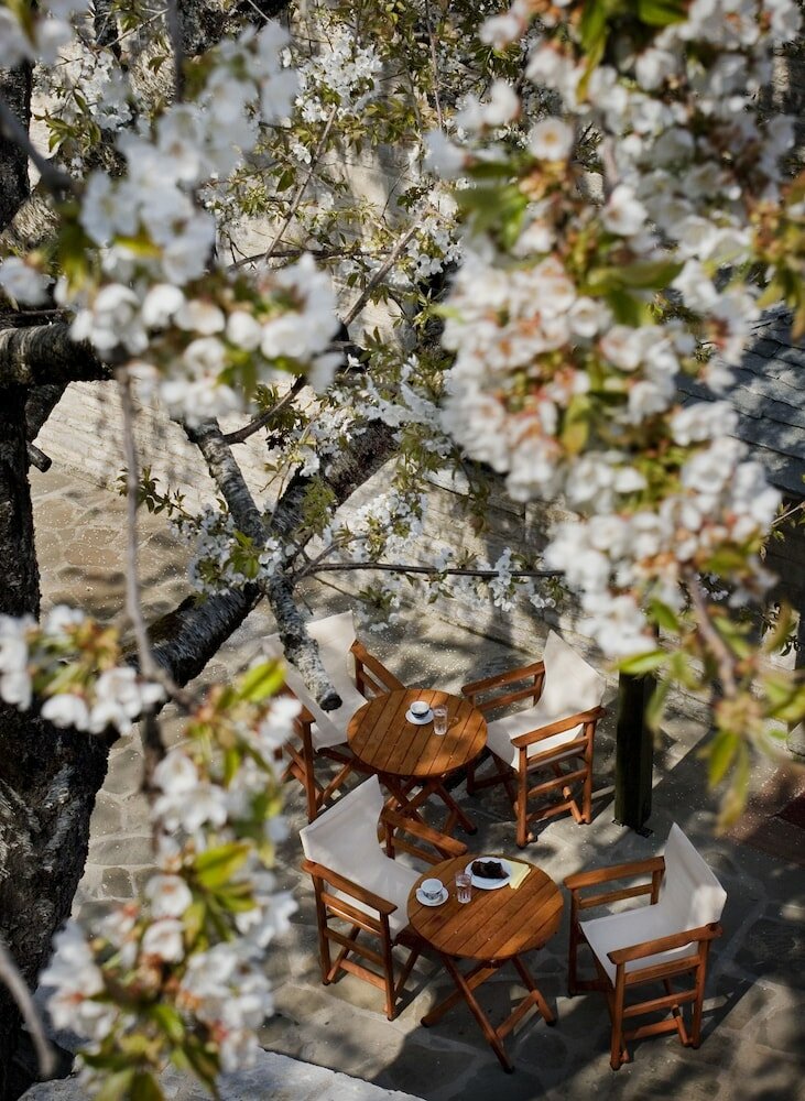 Фото Gaia Guesthouse