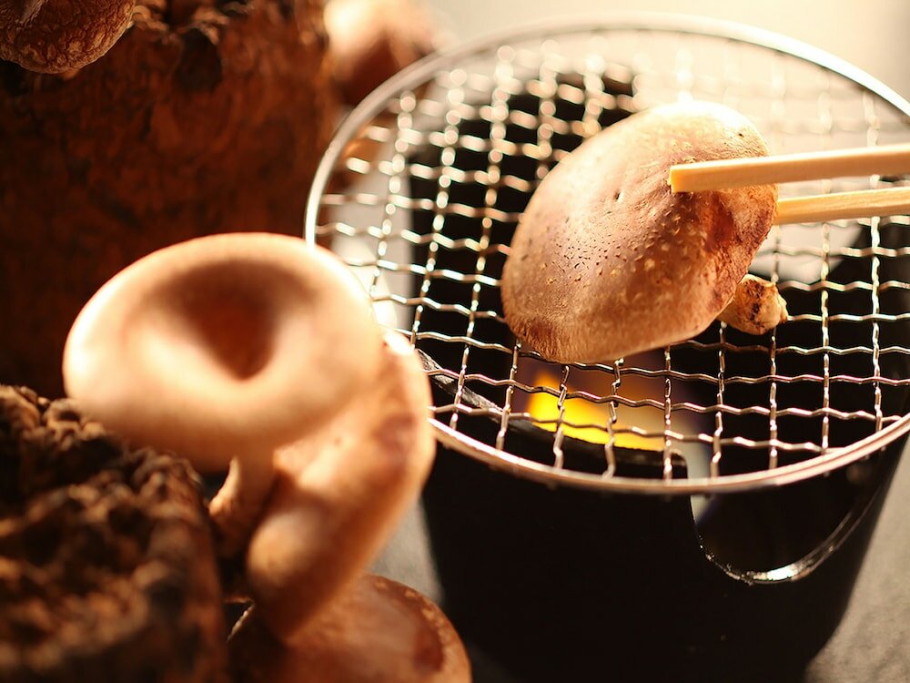 Фото Ryokan Biyunoyado