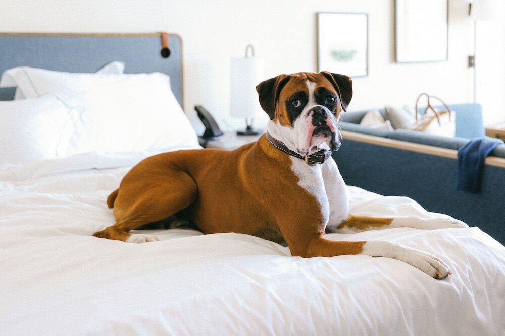 Фото Отель Monterey Beach