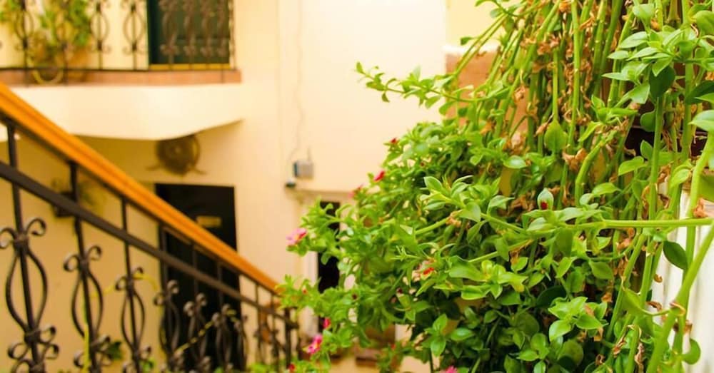 Фото Old City Inn