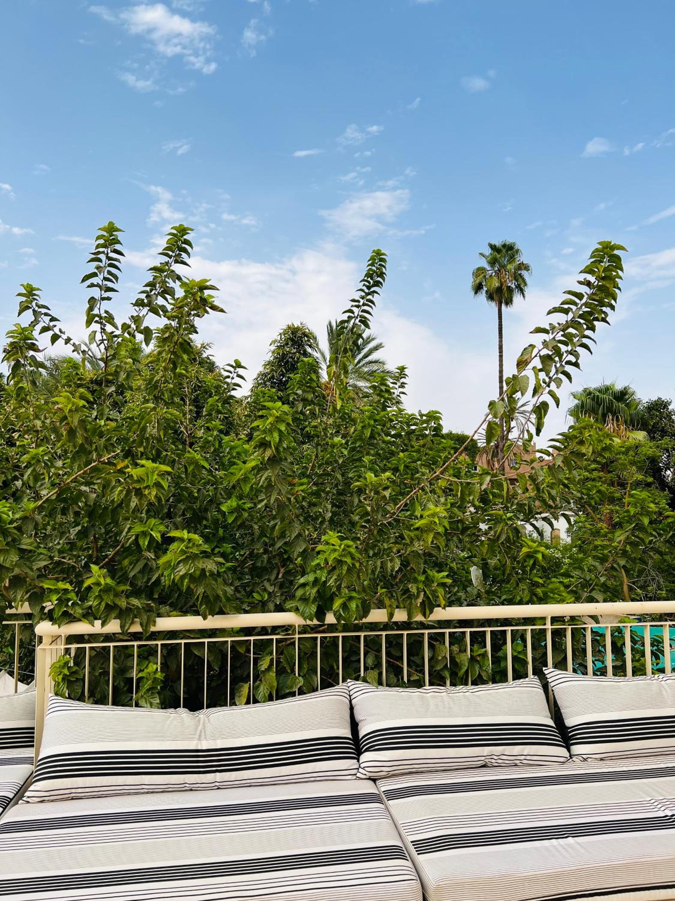 Фото Marrakech Palm Club