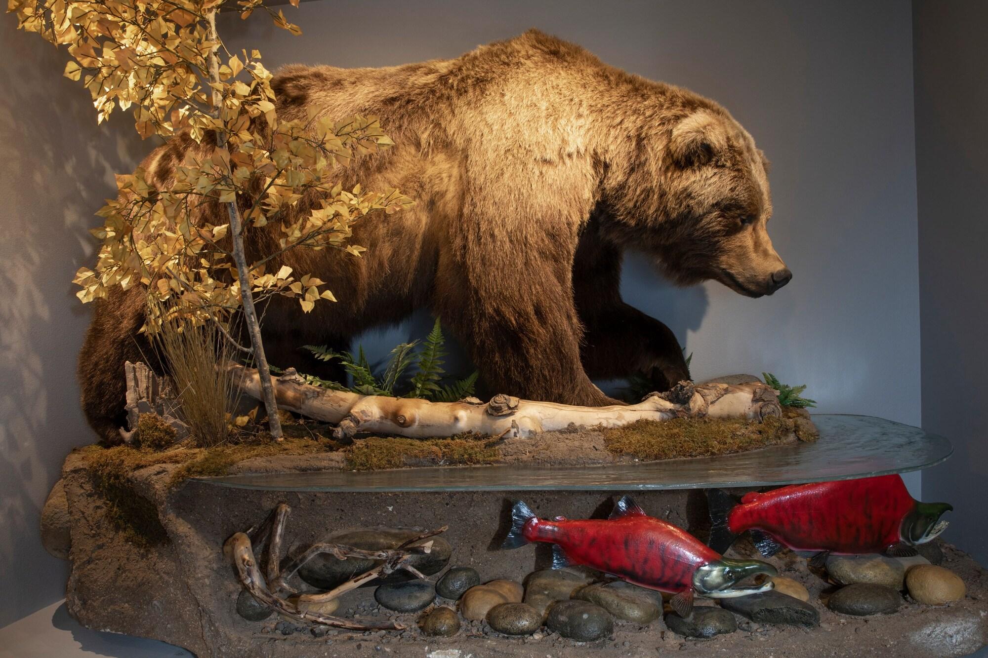 Фото Totem Hotel and Suites