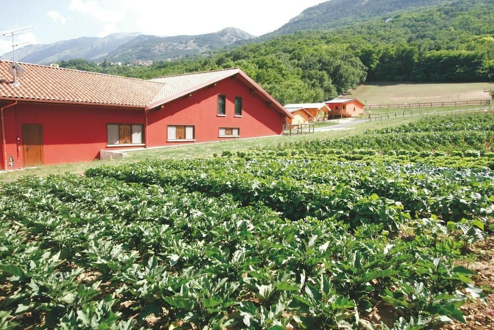 Фото Fattoria Antica Forconia