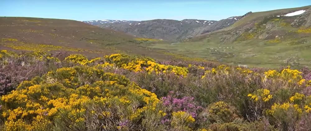 Фото La Posada de Pedrazales