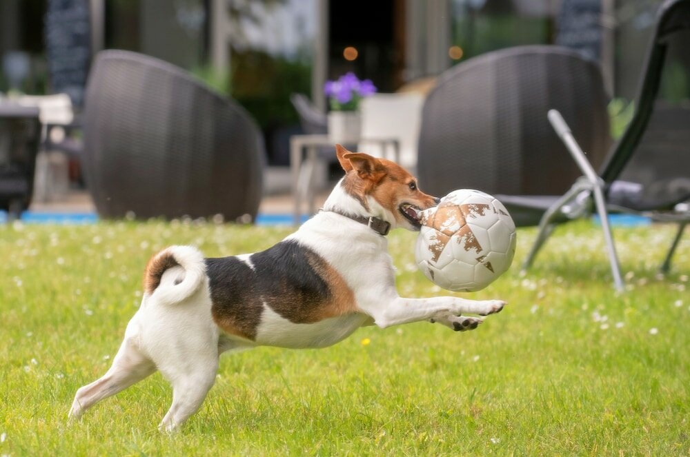 Фото Mercure Hotel Aachen Europaplatz