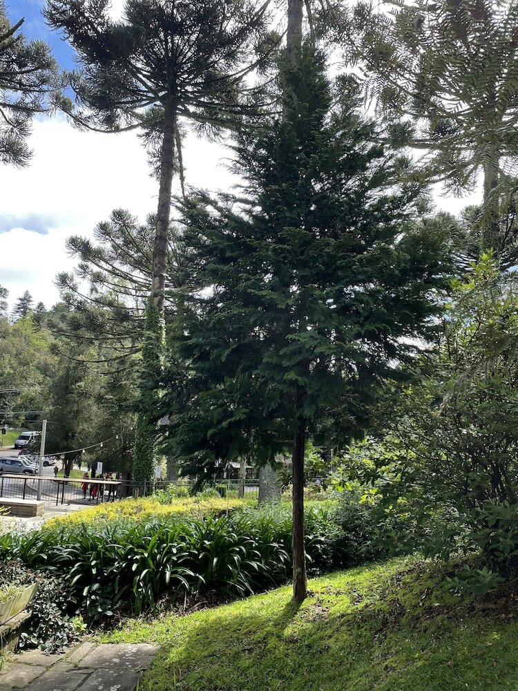 Фото Pousada Vista do Lago