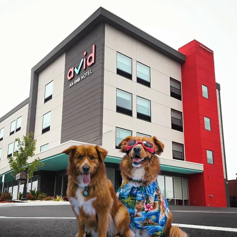 Фото Avid Hotels Austin Nw Lakeline, an Ihg Hotel