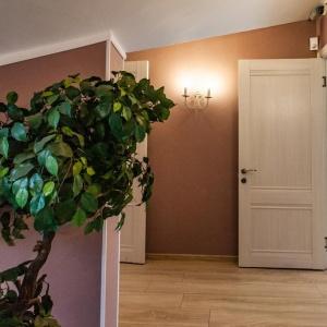 Фото Васко Да Гама