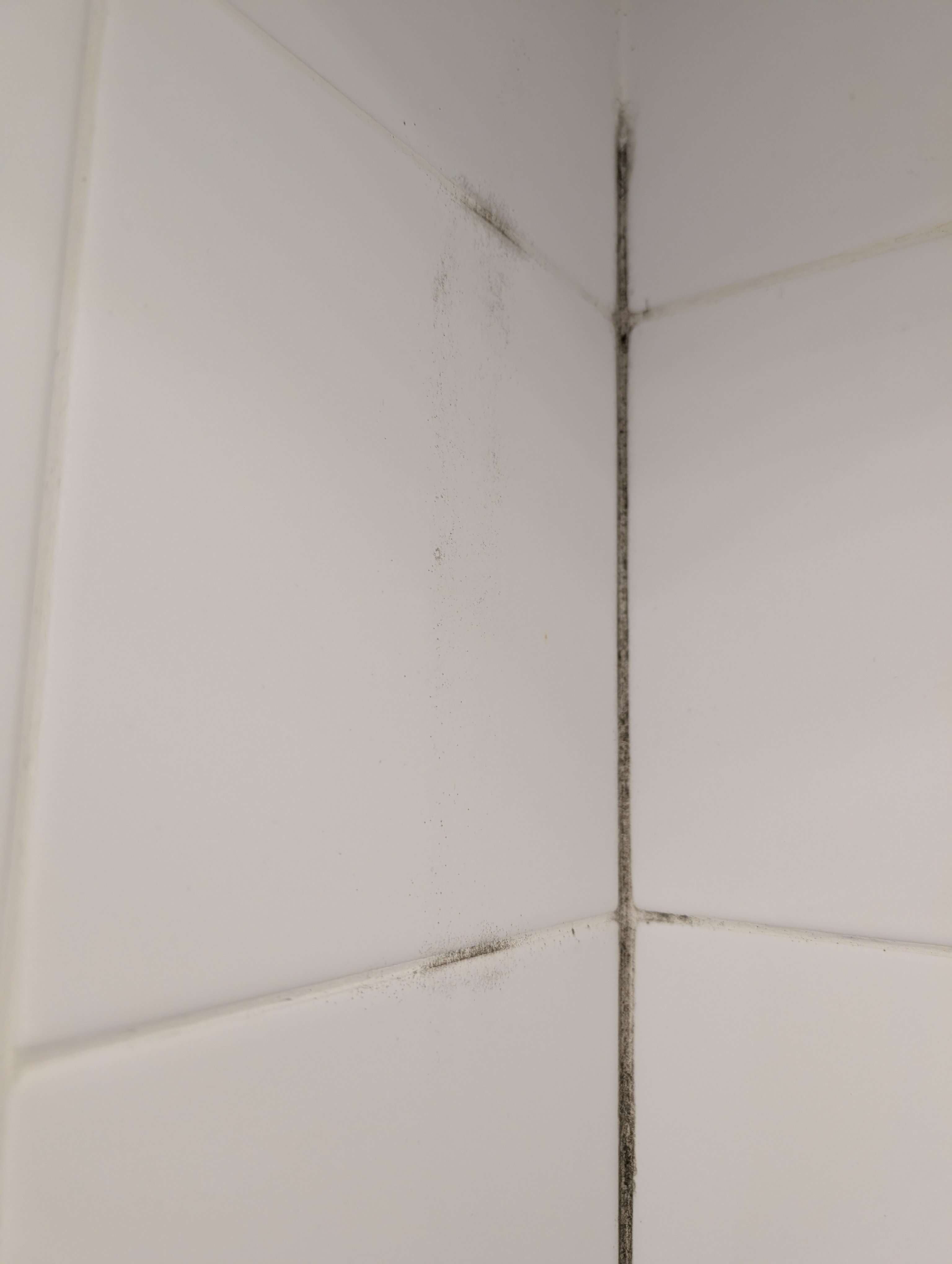 Фото Sokroma Жюль Верн