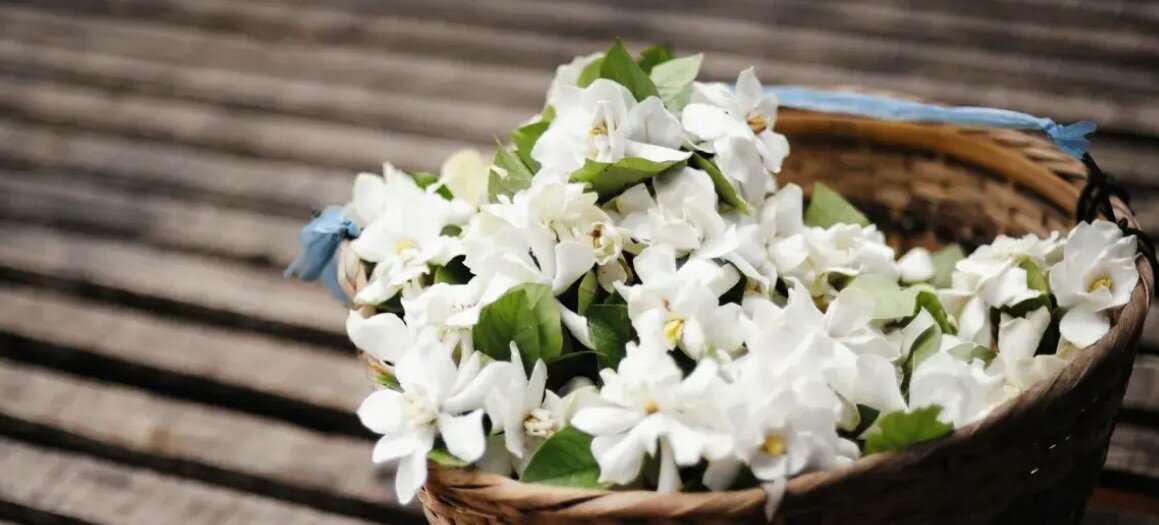 Фото Bastion Hotel Budapest