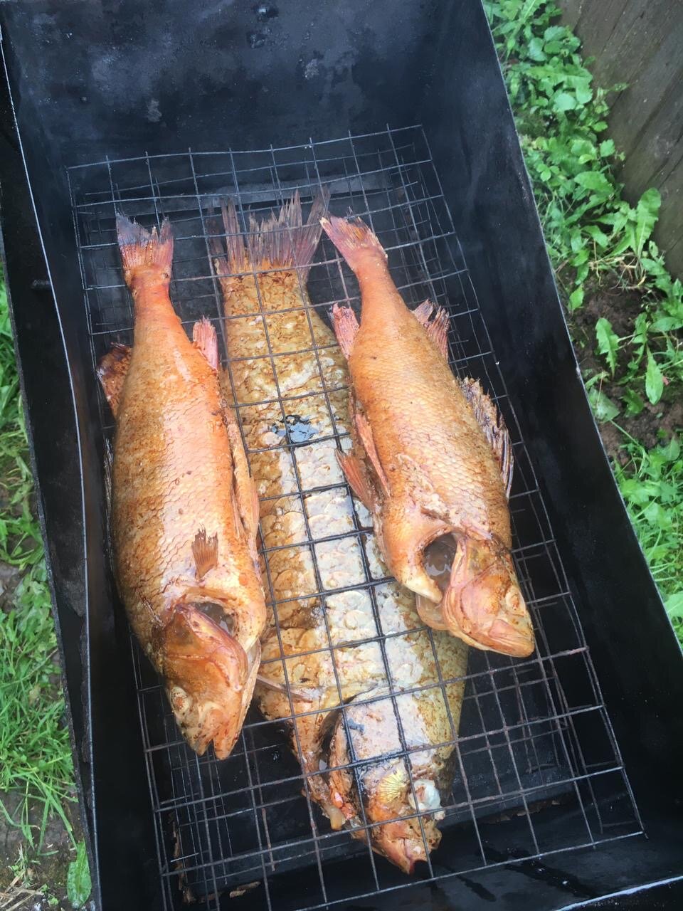 Фото Старый Мултан