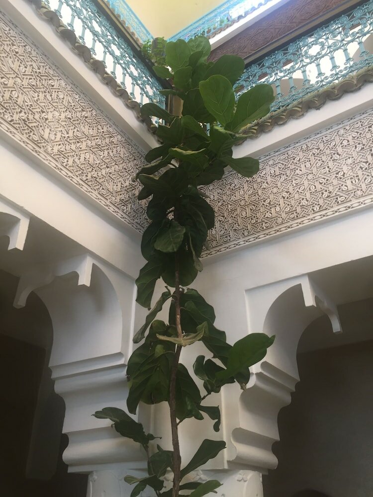 Фото Riad Ben Tachfine