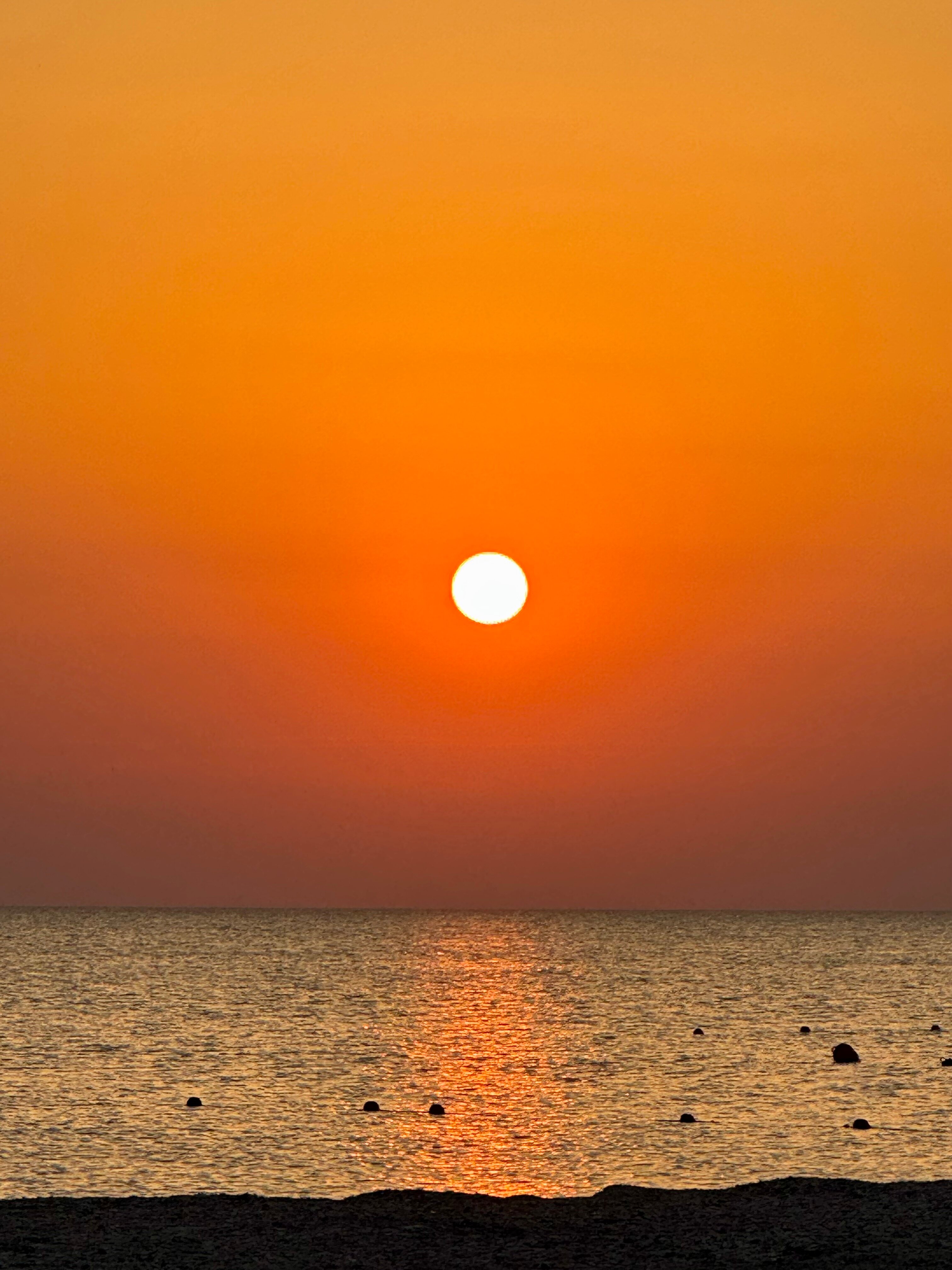 Фото Ейская Усадьба - Нептун