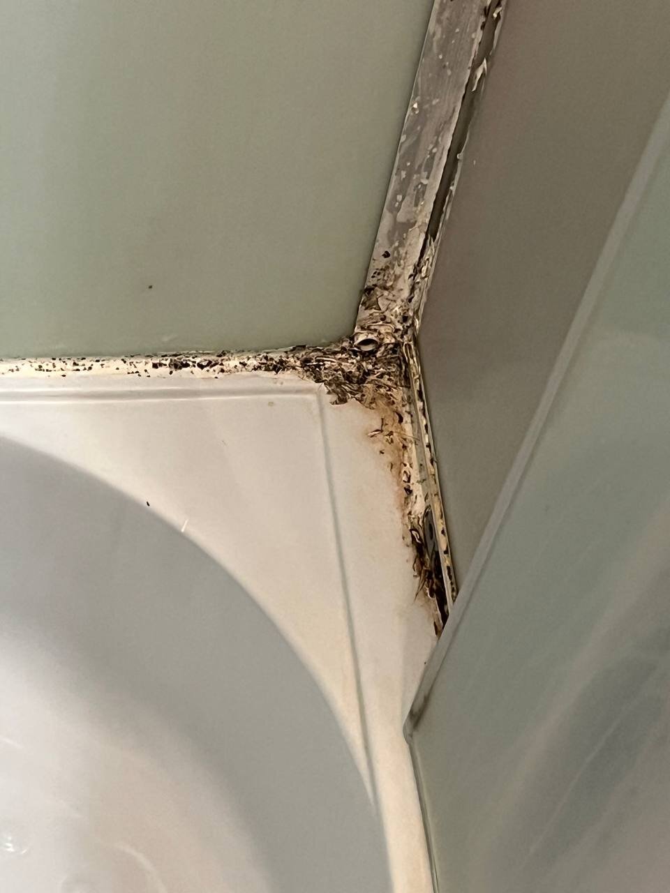 Фото Адмирал