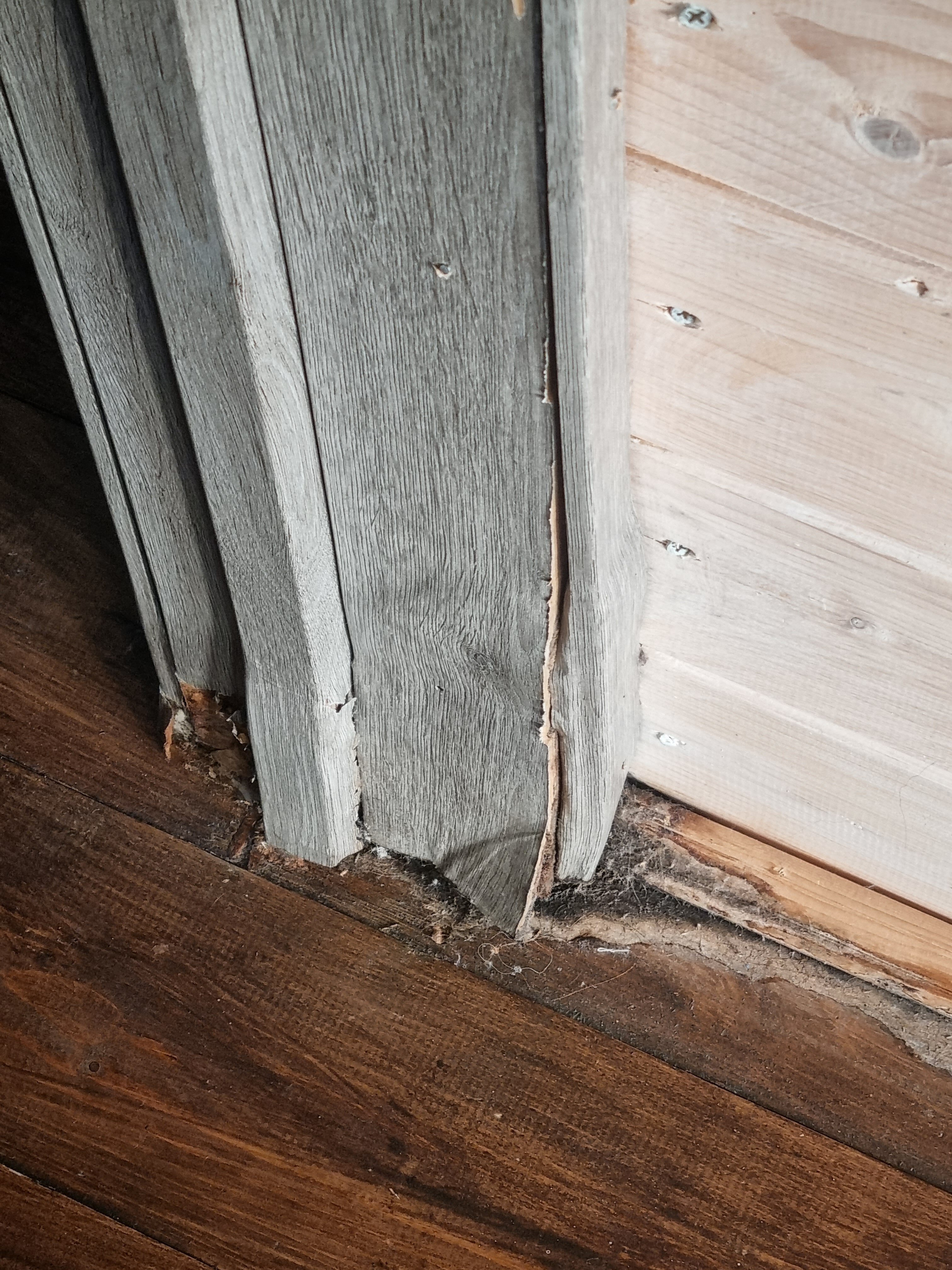 Фото Petro Castle