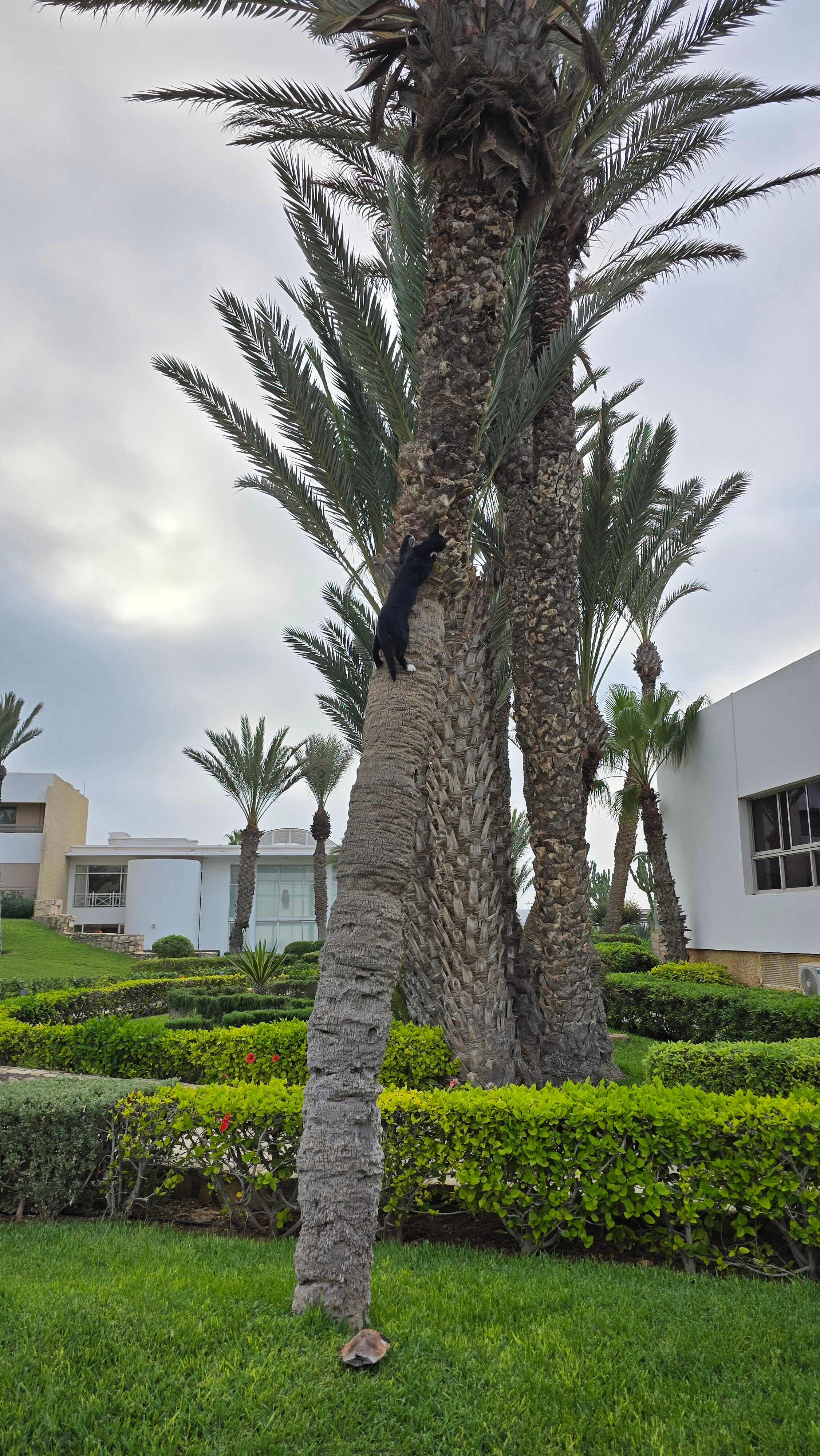 Фото Dunes d'Or Ocean Club