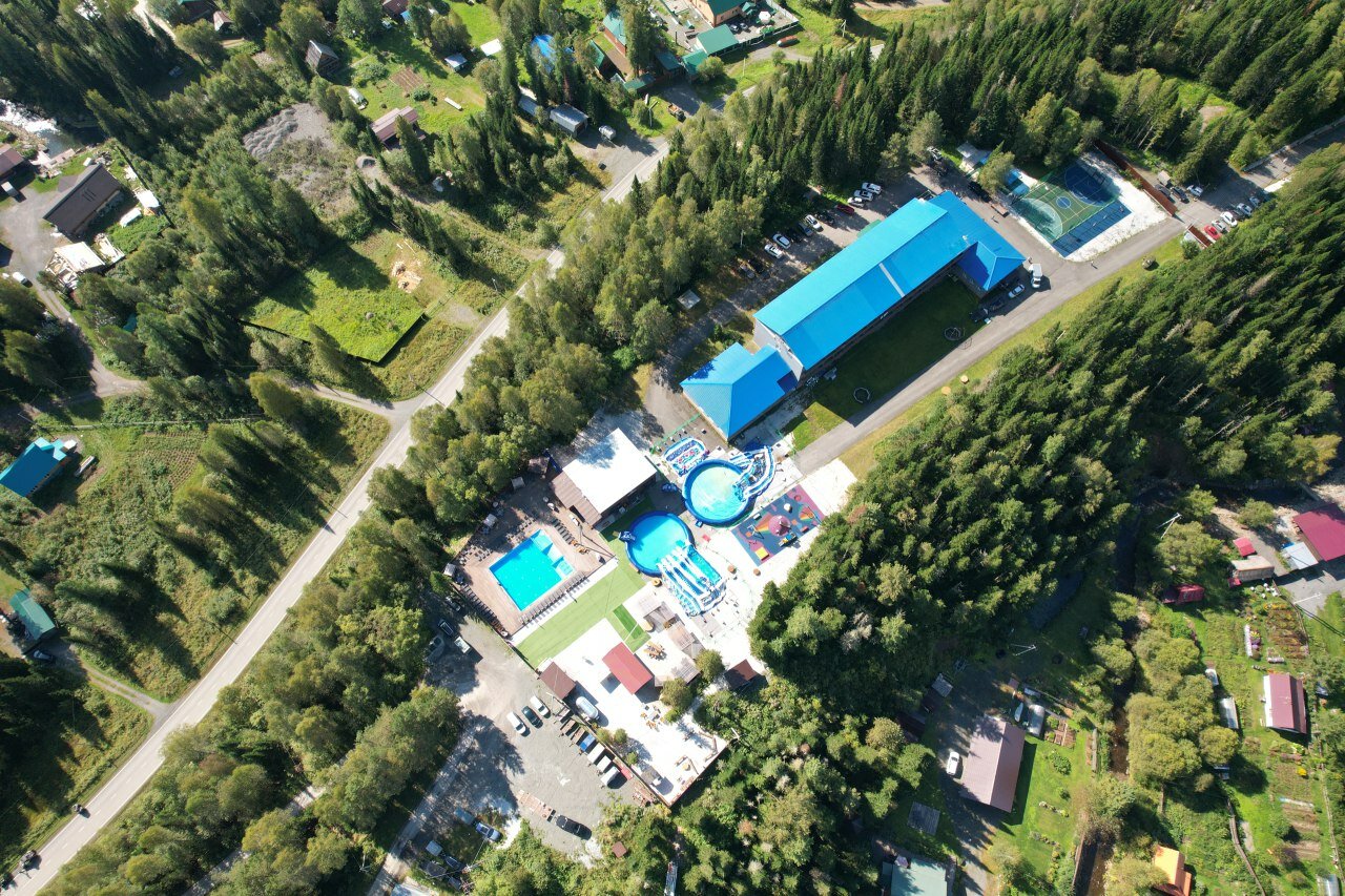 Фото Ромашка