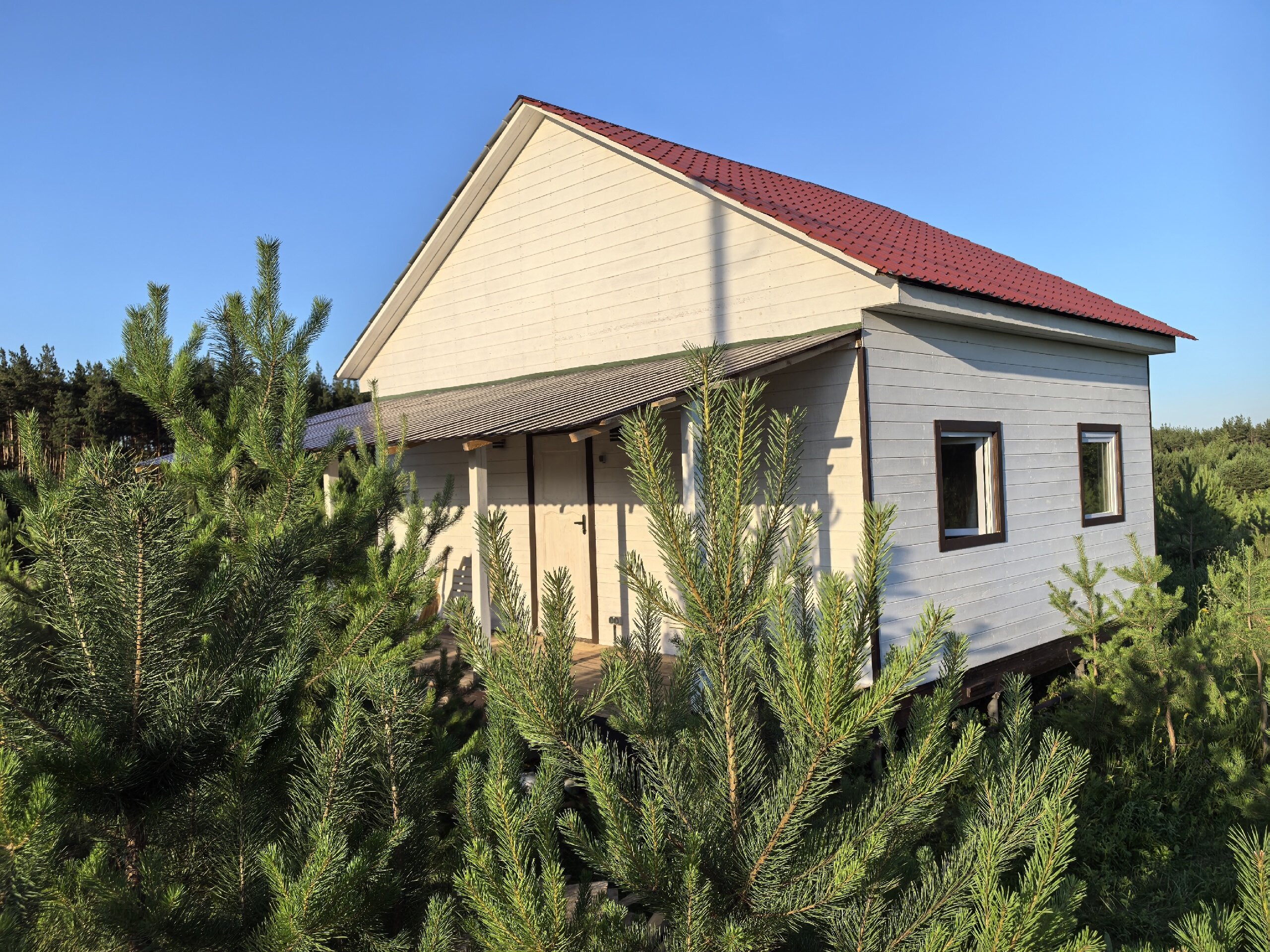 Фото Forest chan