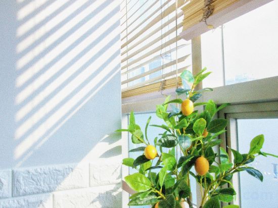 Фото Hostel Kpop