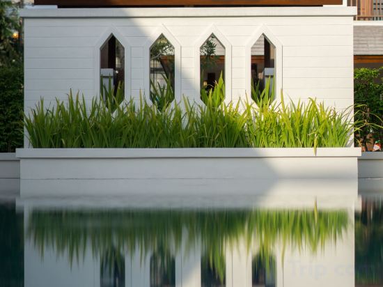 Фото Villa Sanpakoi