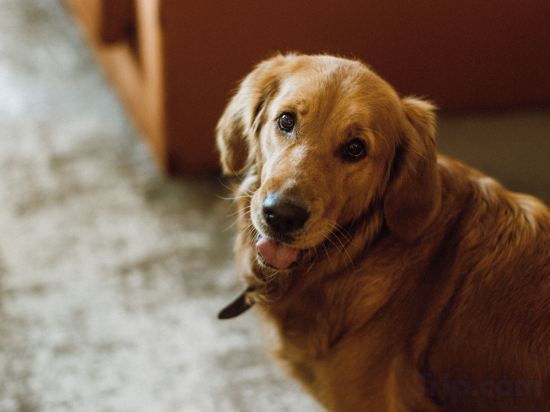 Фото Pullman Lyon