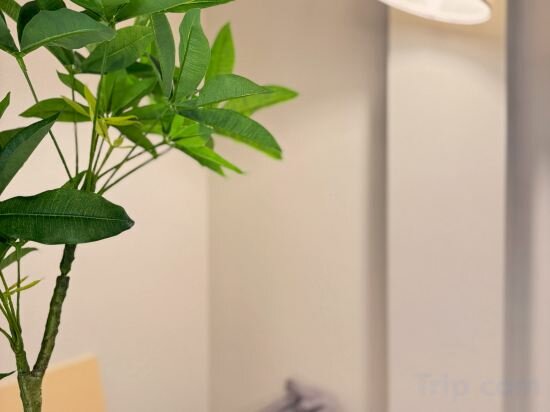 Фото Hg Cozy Hotel No. 61 Imazato Station