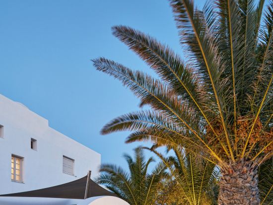 Фото Santorini Palace