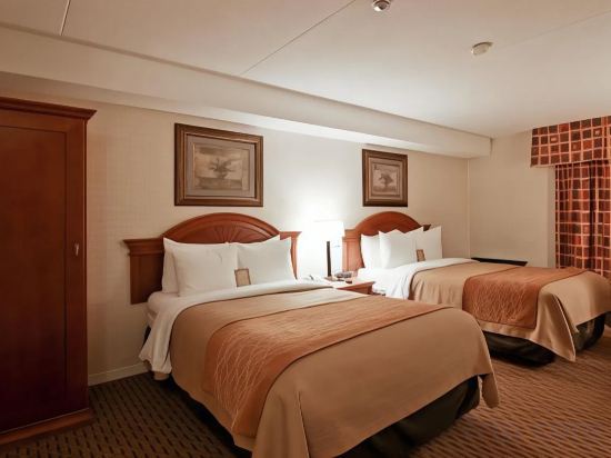 Фото Comfort Inn Toronto Northeast