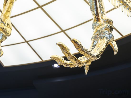 Фото Hesperia Presidente