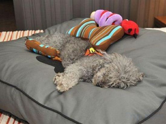 Фото Kimpton Hotel Eventi, an Ihg Hotel