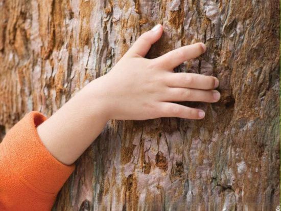 Фото B&b Hotel Antibes Juan-les-Pins