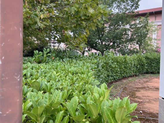 Фото Ibis Toulouse Purpan