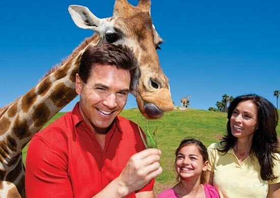 Фото Hilton Garden Inn San Diego/Rancho Bernardo