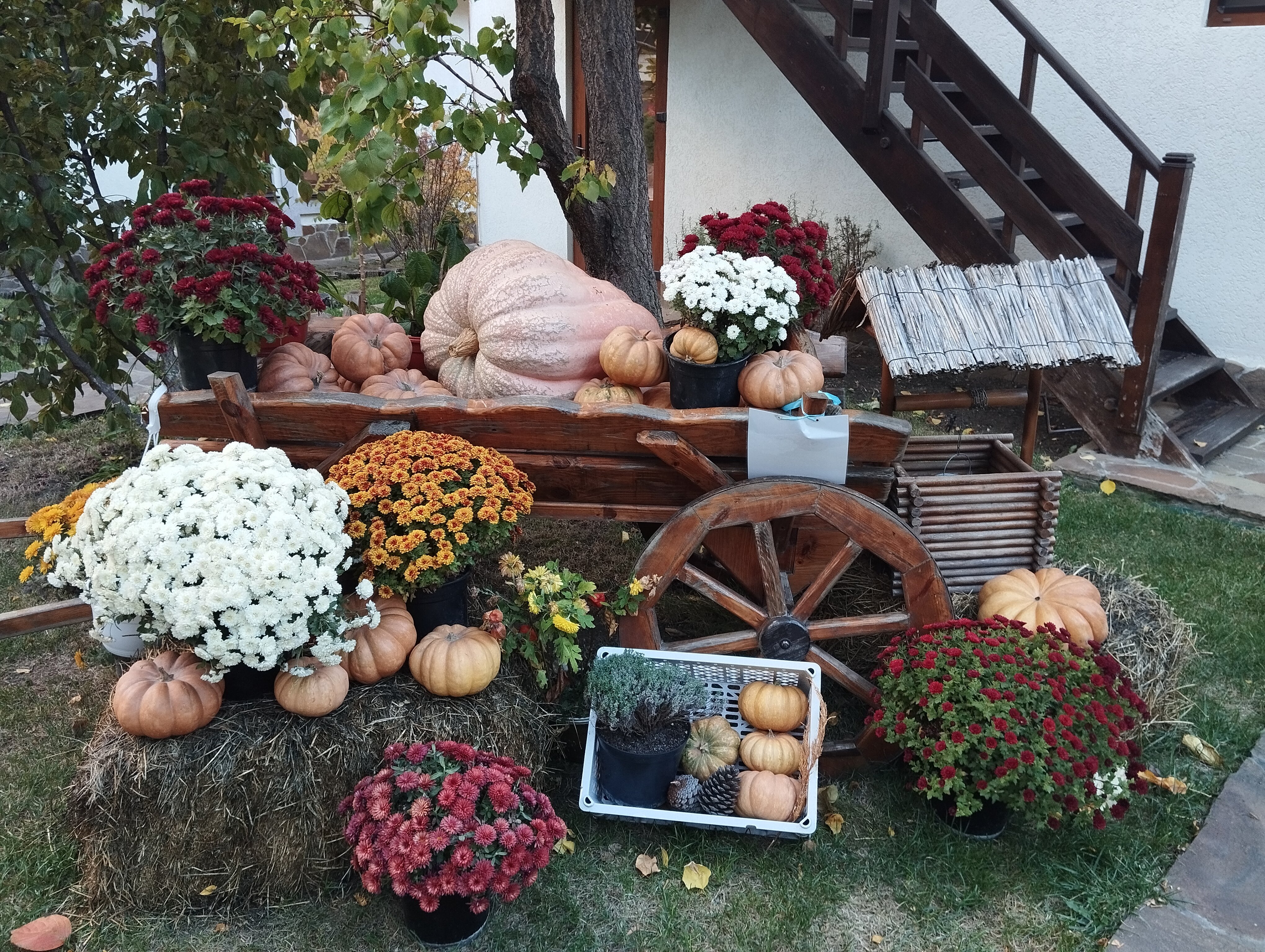 Фото Альпийская долина