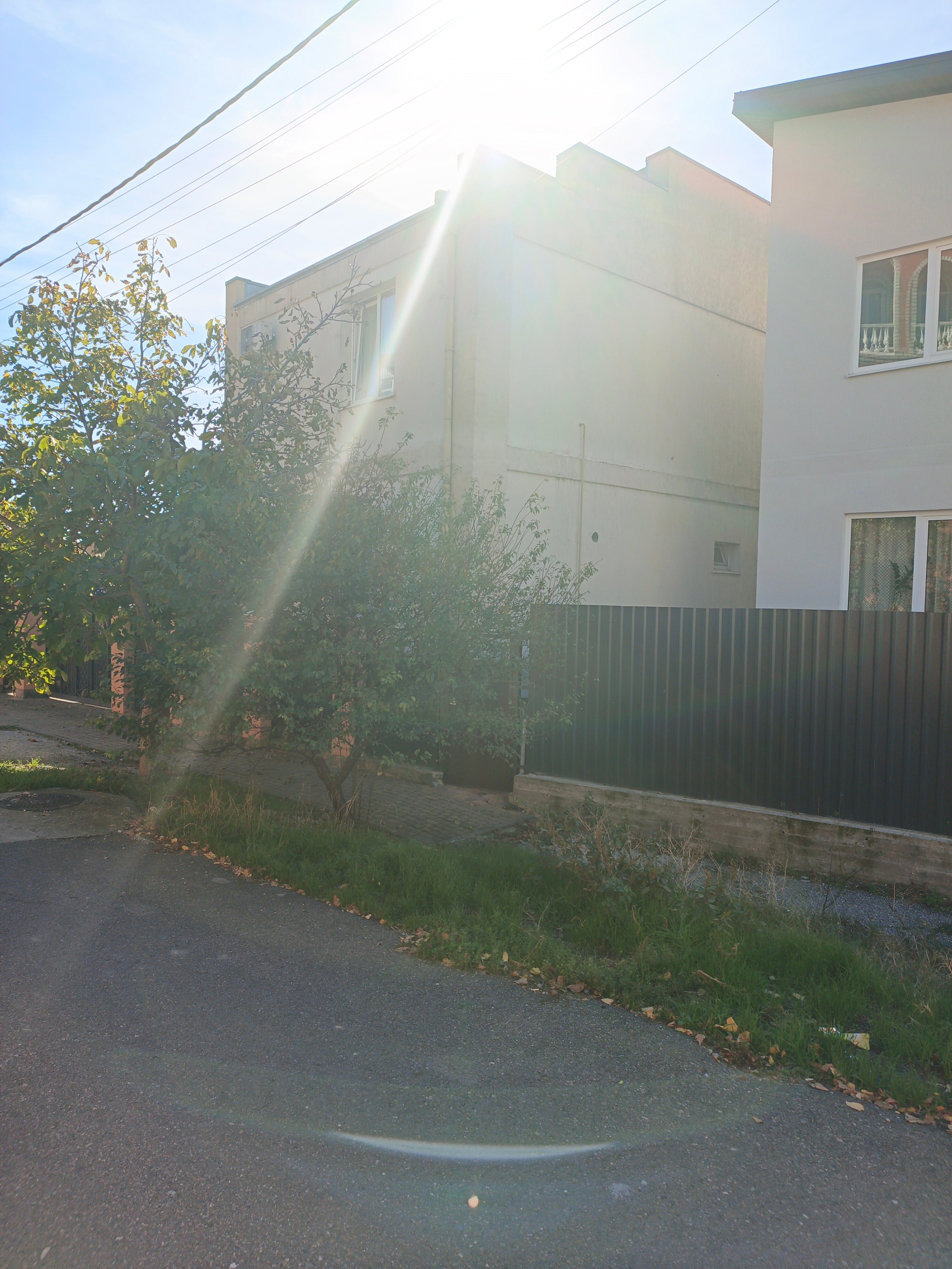 Фото Панорама