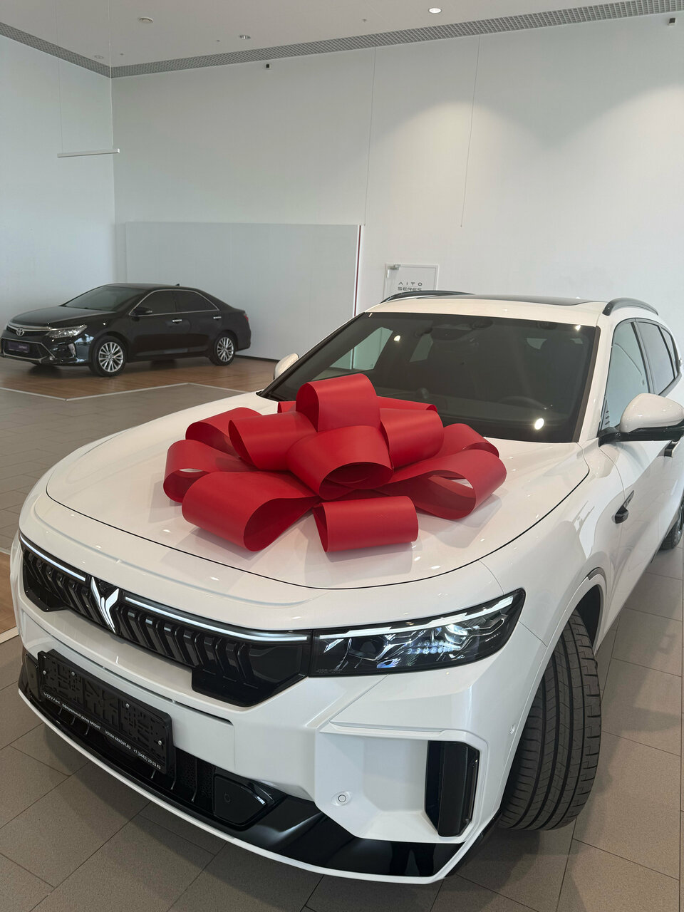 photo Voyah Арконт