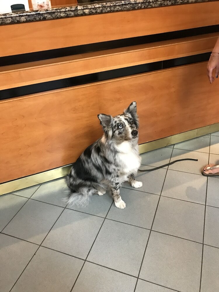 Фото Verdi Budapest Aquincum 