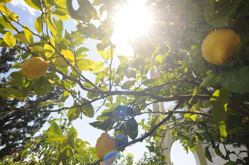 Фото Hotel Belvedere