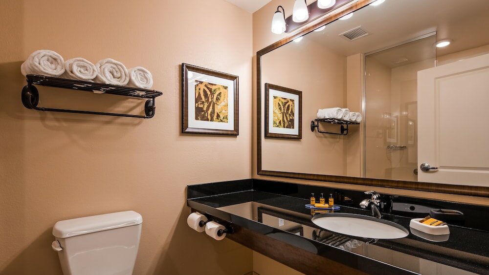 Фото Best Western Plus Hudson Hotel & Suites