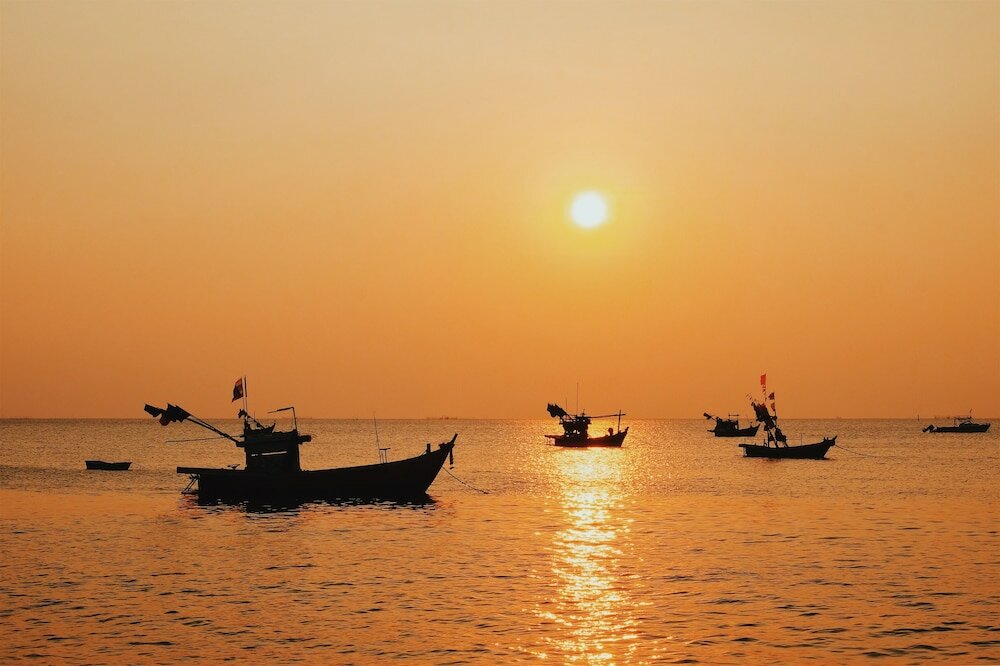 Фото Sea Sand Trees