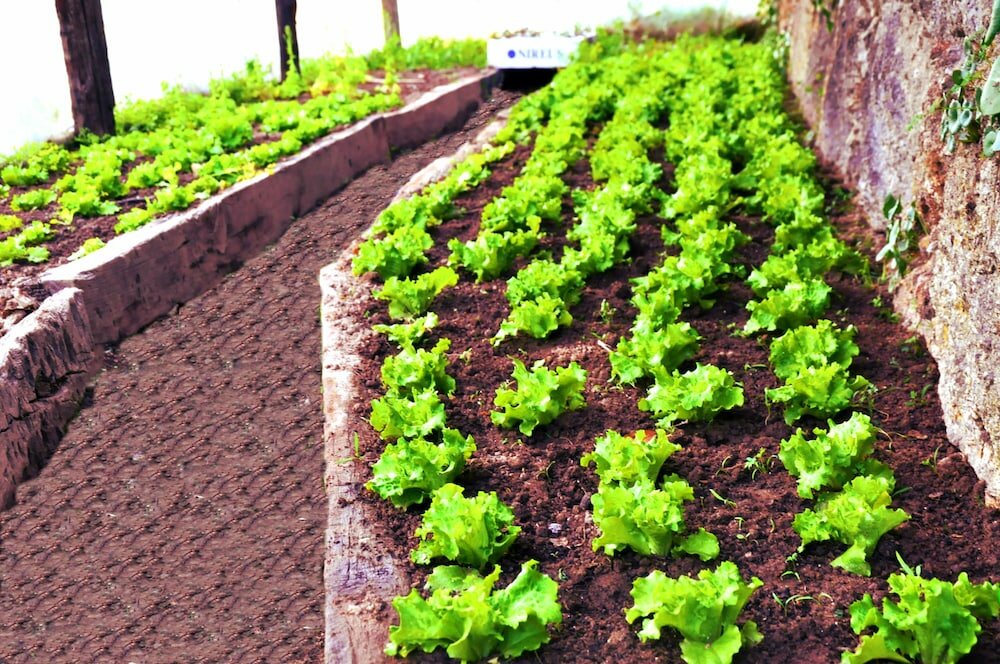 Фото Hotel Lusitania